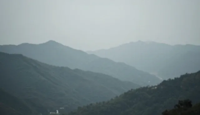 常见问题:流程优化中的实际环节分析